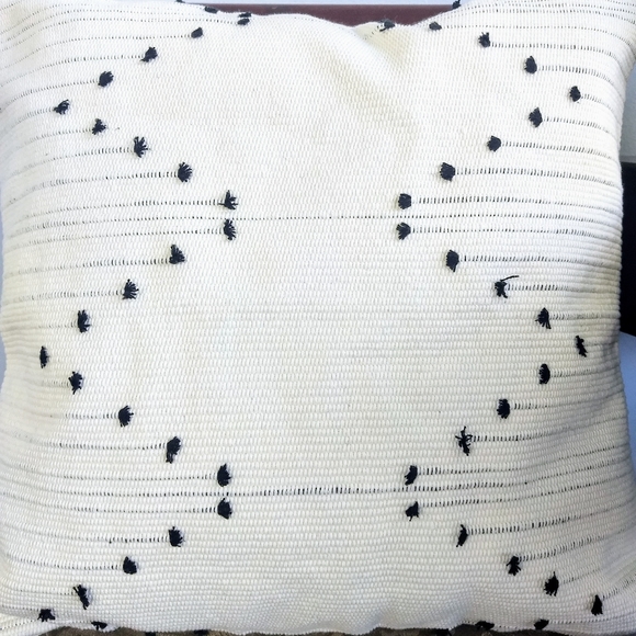 Black & White Chevron Tassel Throw Pillow Cover - Picture 3 of 5